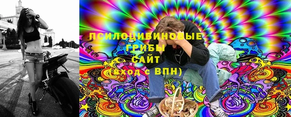 прущий лед Белокуриха